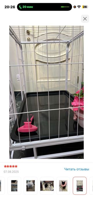 Клетка для собак и кошек идеальная