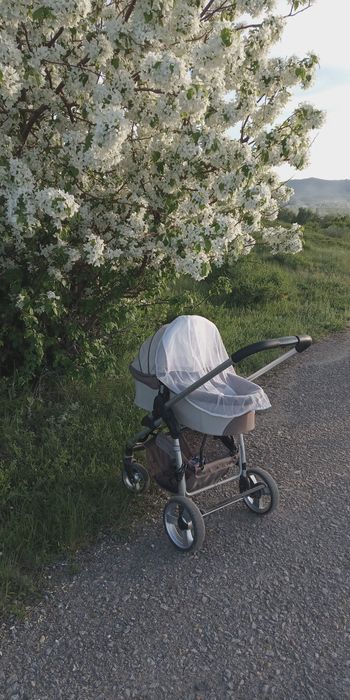 Коляска Foton 2 в 1