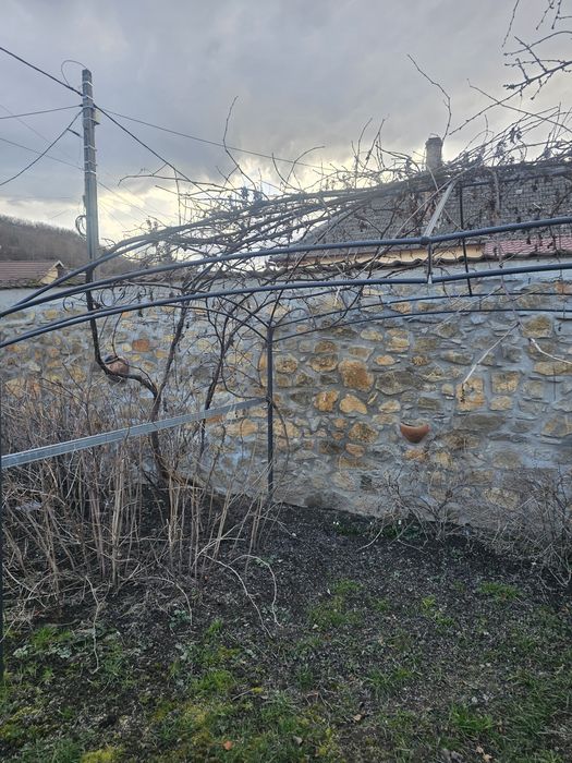 Vand pergola pentu vita de vie cu tot cu vita