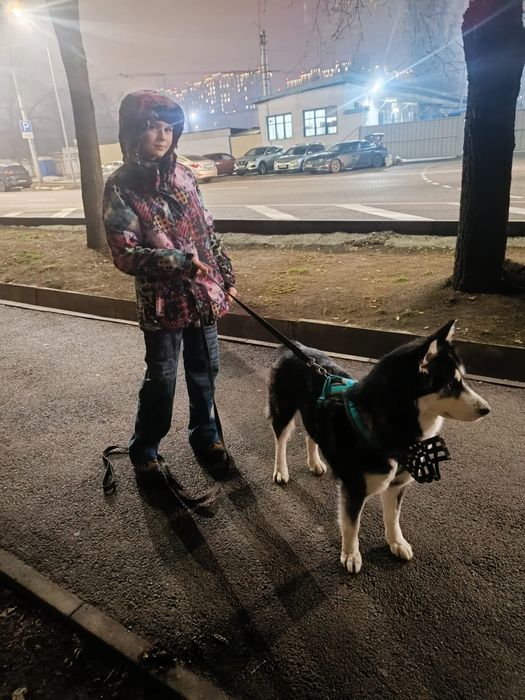 Выгул собак в Алматы