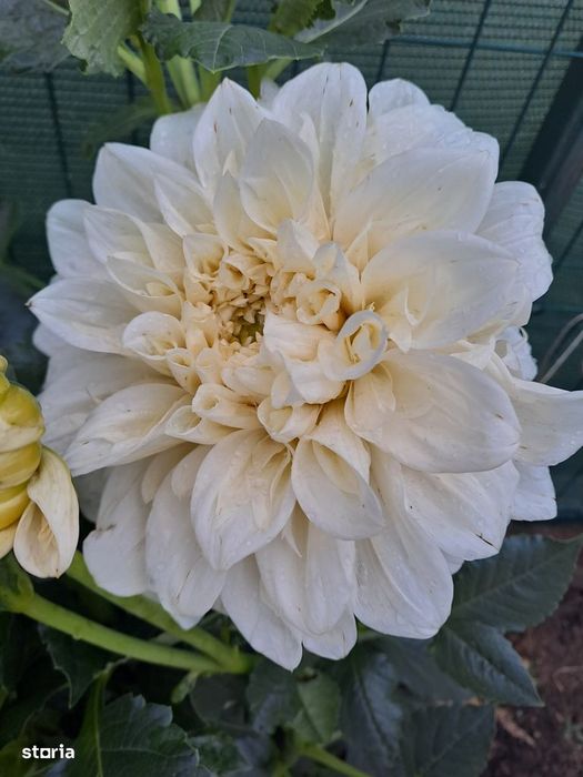 Schimb apartament 2 camere Mioveni etaj 2, cu apartament 3 camere