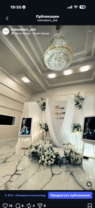 Ледмольберт со звуком