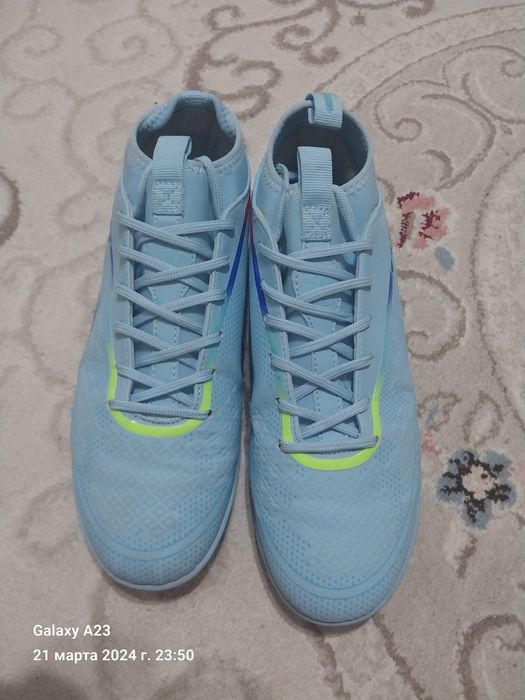 Сороконошки в хорошем состаяни