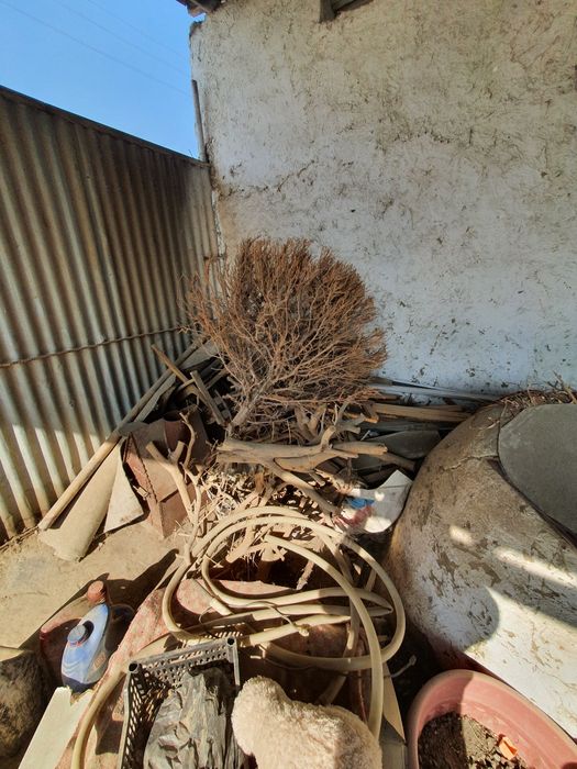 Õtinlar bollorlar barchasi sotiladi.