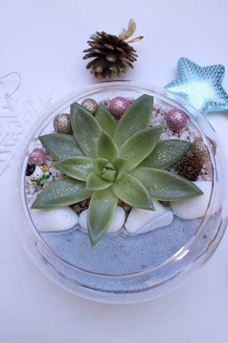 Флорариум с езеро - подарък за рожден ден и др поводи