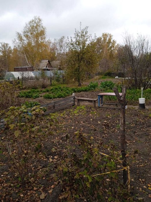 Продам дачу за Новопавловкой