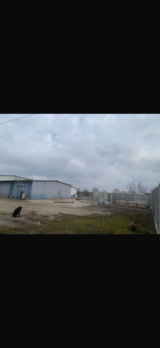 Inchiriez hala situata la 10 km de timisoara