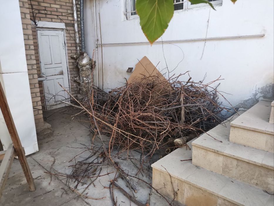 Дрова сухие. Утин. Хезум.