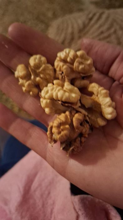 грецкий орех кг 1200тг