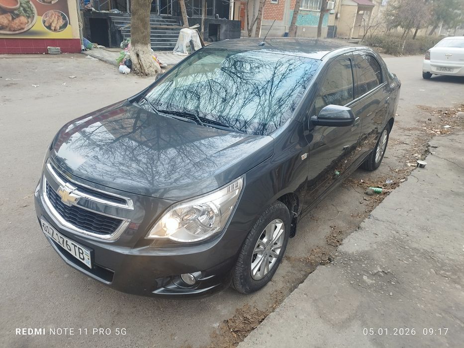 2022/2023 краска тозза