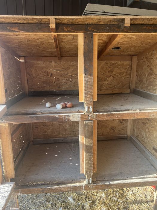 Cotet iepuri pui etc + accesorii