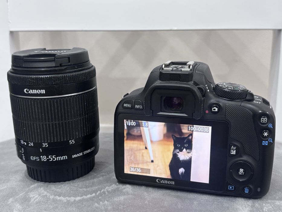 Canon 100D + портретник 1,4 USM