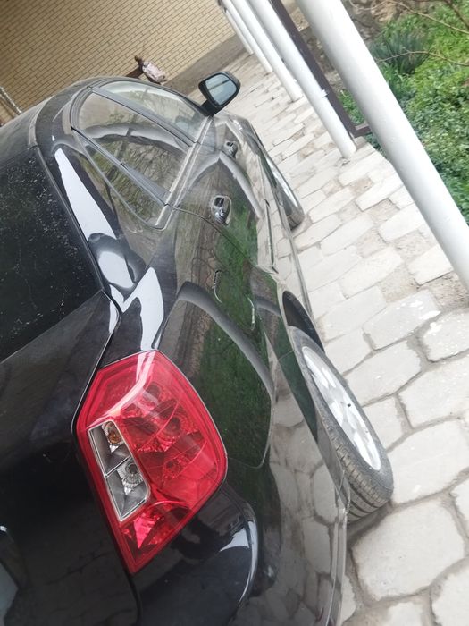 Янги жентра 2023 йил кора ранги