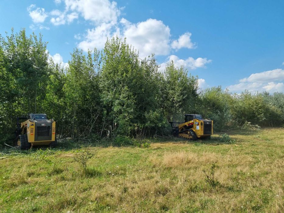 Curatare,defrisare teren, ploaia ajuta si la pret si la defrisare!