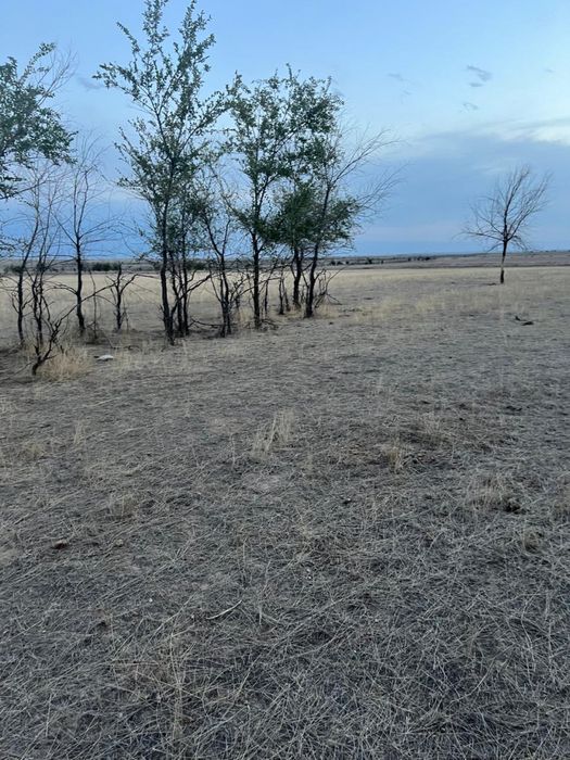 Продам участок 140 гектаров