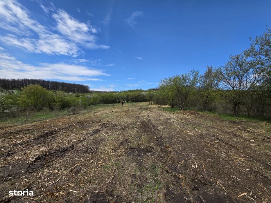 De vânzare teren intravilan – Bârsău, jud. Hunedoara