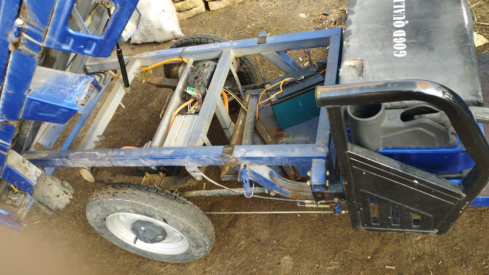 Продам 2 муравья недорого