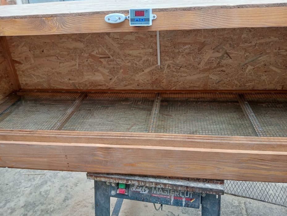 Maternități pentru pui