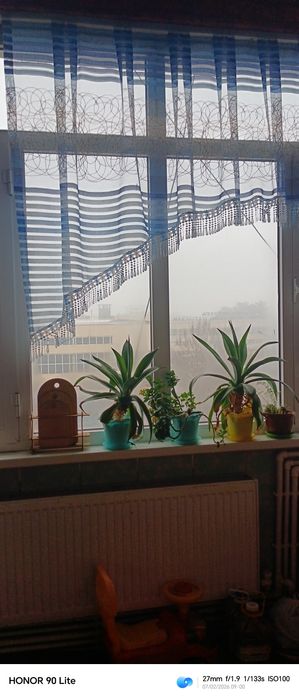 Kunlik ijara, сутични квартира