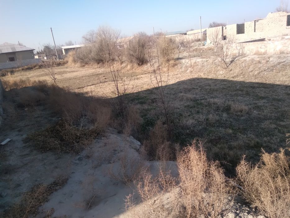 Yer sotiladi tel qilingla sutigi un million