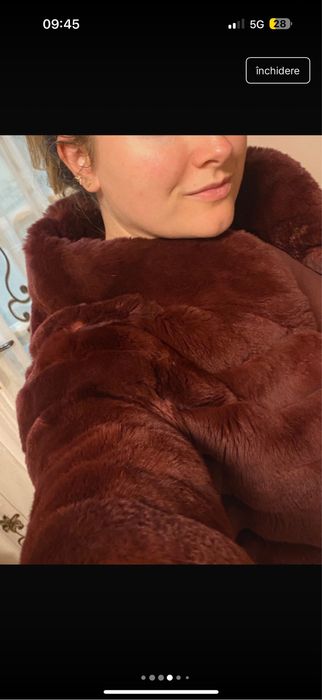 Haina de Blana iepure