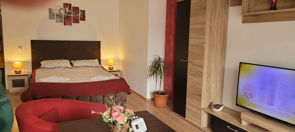 Garsoniera în regim hotelier Brașov