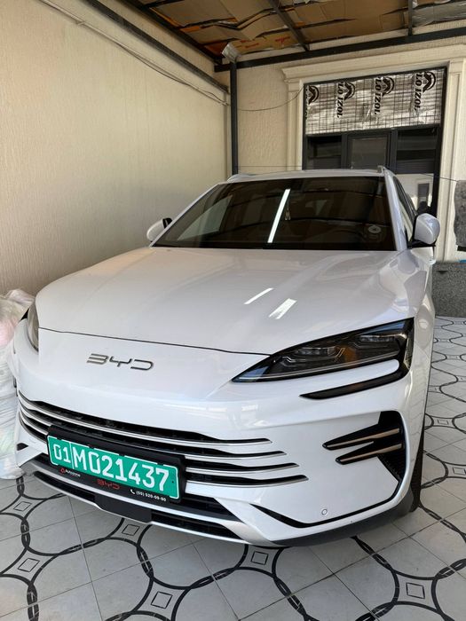 BYD Champion DM-i 110km