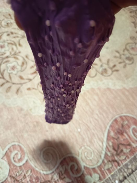 Slime mov cu bilute