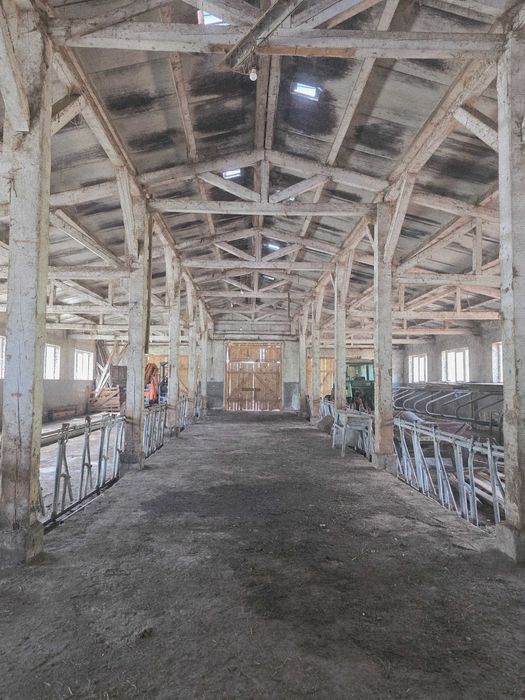 Urgent!! Oportunitate rara - Ferma de vaci, com Breaza, Suceava