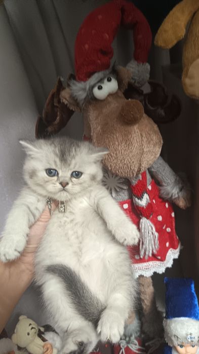 Шикарные мальчишки от правильной вязки