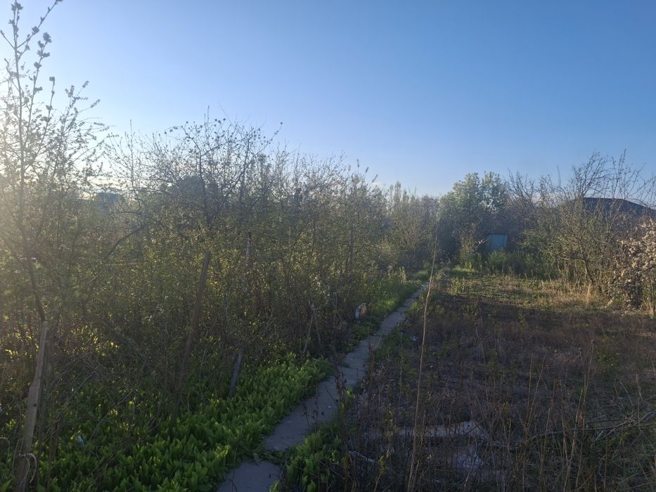 Дача на буровике