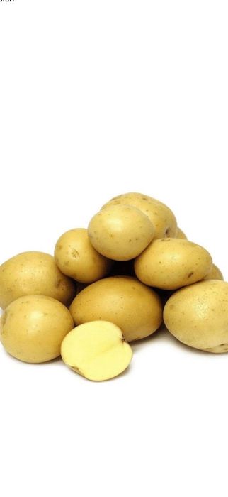 Картошка семенная
