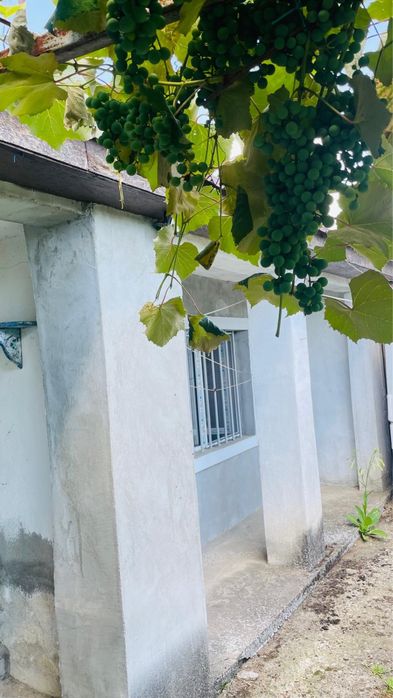 De vanzare casa in Turnul Magurele la intrare in comuna Lita.