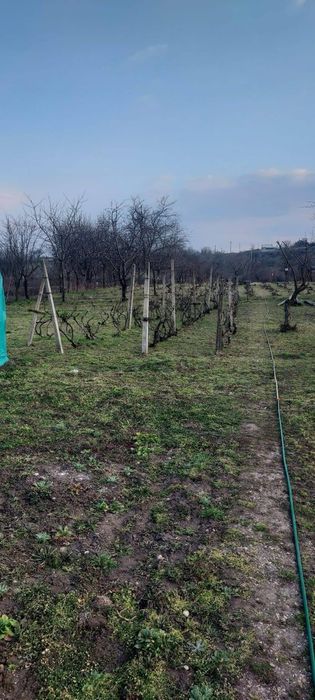 Vând casă plus teren in comuna Urechești jud Vrancea