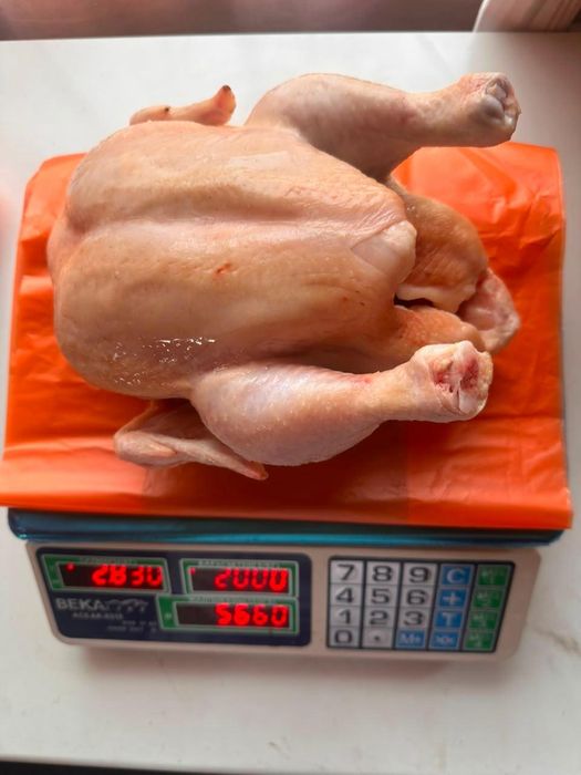 Продам мясо бролера домашний