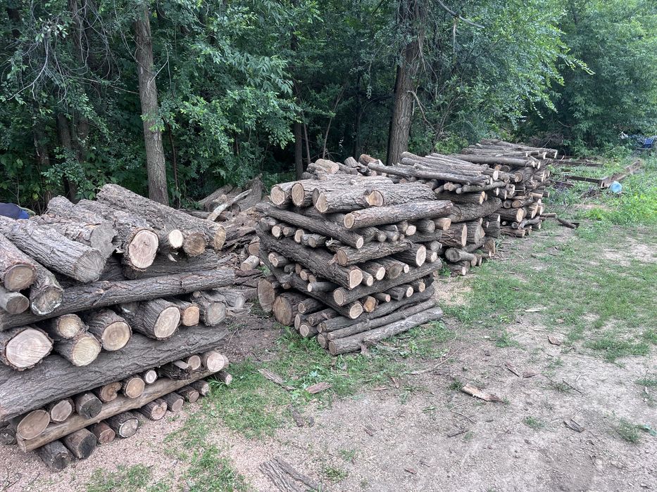 Дрова карагач 1 куб