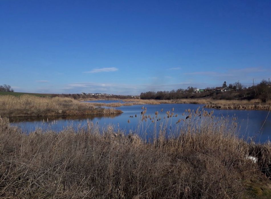 Teren la lac Caciulati Balta palatului