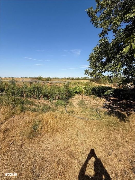 RECO Casa de vanzare in Gepiu, teren 1.439 mp