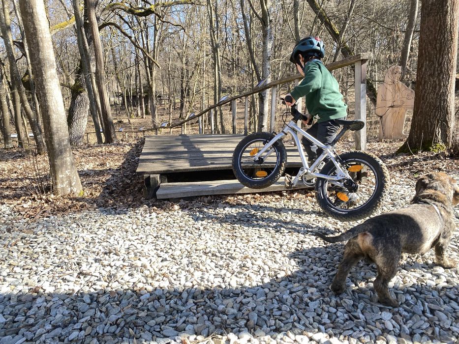 Bicicleta copii EARLY RIDER BELT 16"