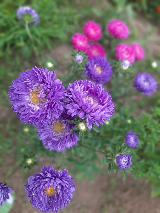 СО. Агротехснаб.Дача сатылады