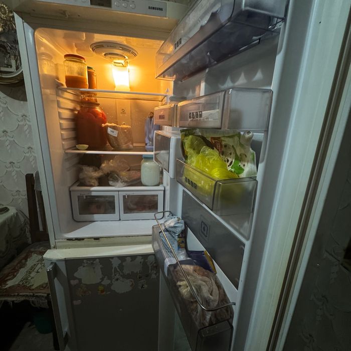 Холодильник SAMSUNG RL28DATS