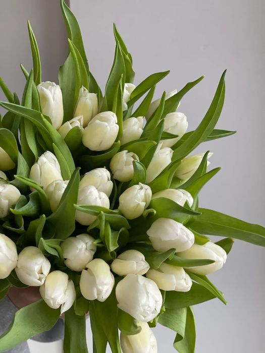 Тюльпаны оптом Атырау