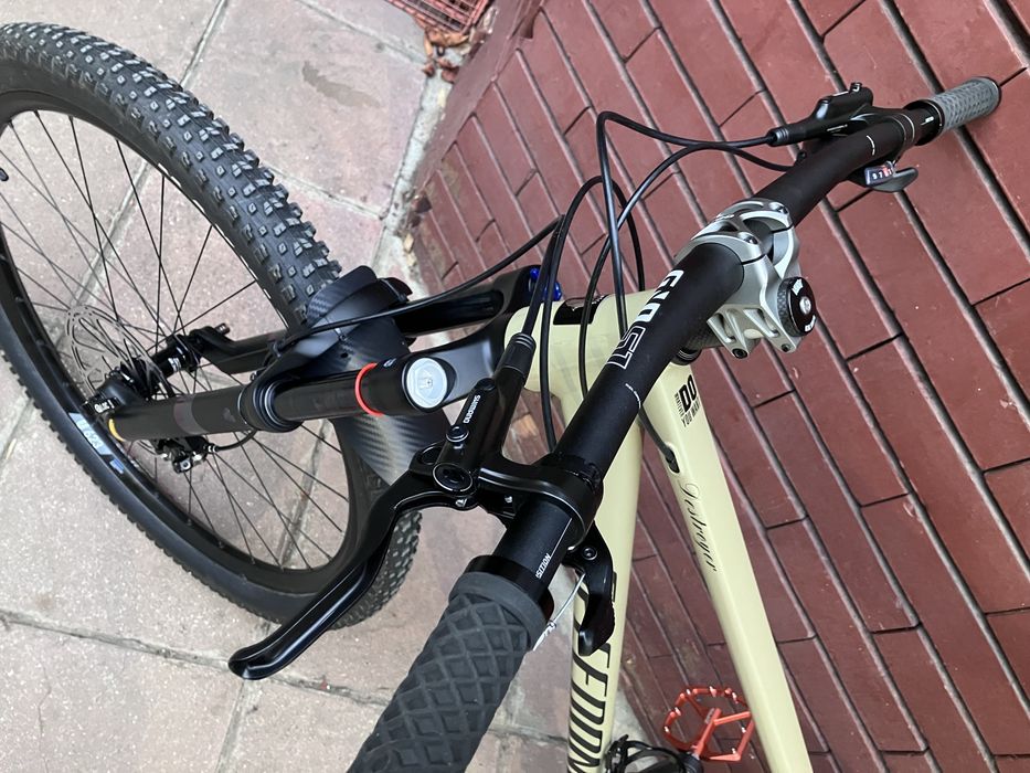 Custom bike 29 boost