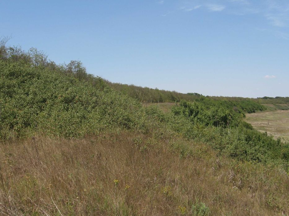 Продава се Парцел в с. Дуранкулак, Област Добрич - 11252 кв.м за 17 €/кв.м - Снимка #2