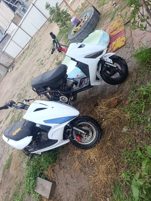 Angel gts peda 1