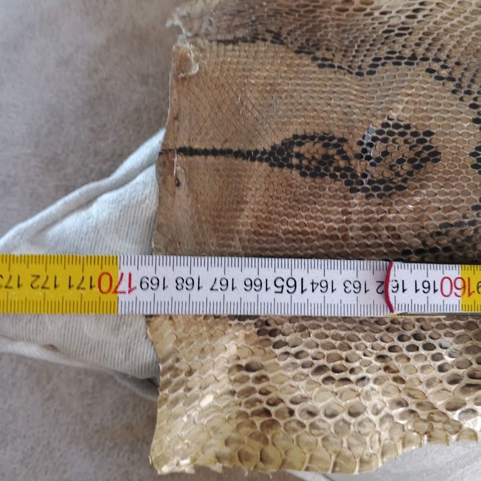 Огромна кожа от питон