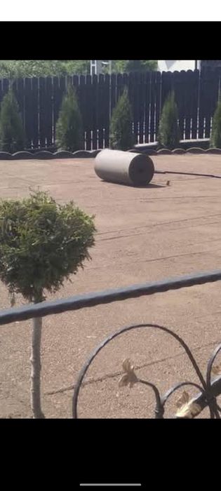 Tăvălug  de închiriat