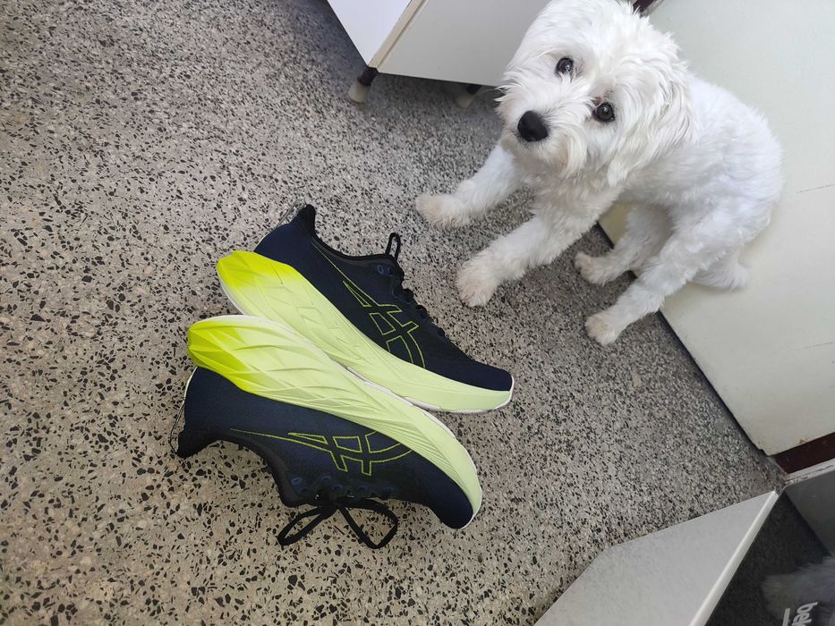 Размер 44 - ASICS Novablast 4 BLACK/BLUE EXPANSE