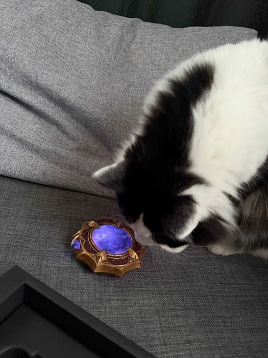 World of Warcraft Midnight Collector`s Edition (Без кода) (Английски,немски, френски, италиански)