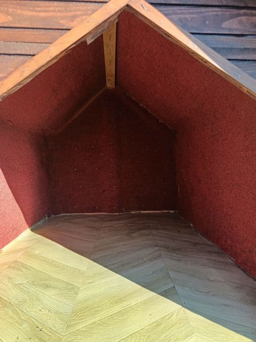 Cușcă câine, coteț